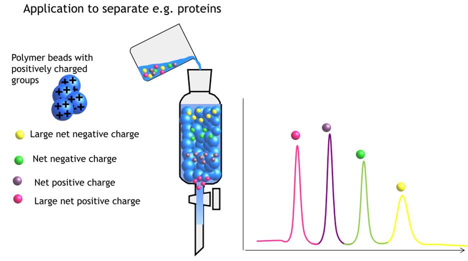 Ion exchange chromatography_proteins